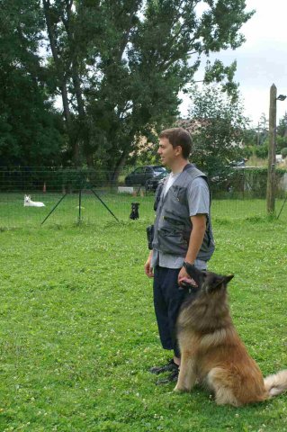 obeissance 2014-08-02